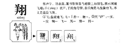 翔 五行|翔字的五行是什么,翔的五行属性及吉利寓意